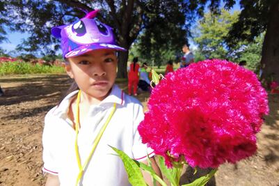 Cultivos de flores: niños preservan la tradición