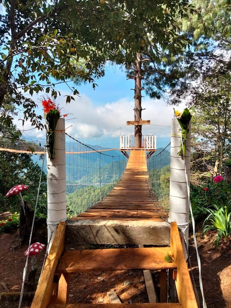 El Bosque Encantado en San José del Pacífico, Oaxaca. Foto: Fb@El bosque encantado