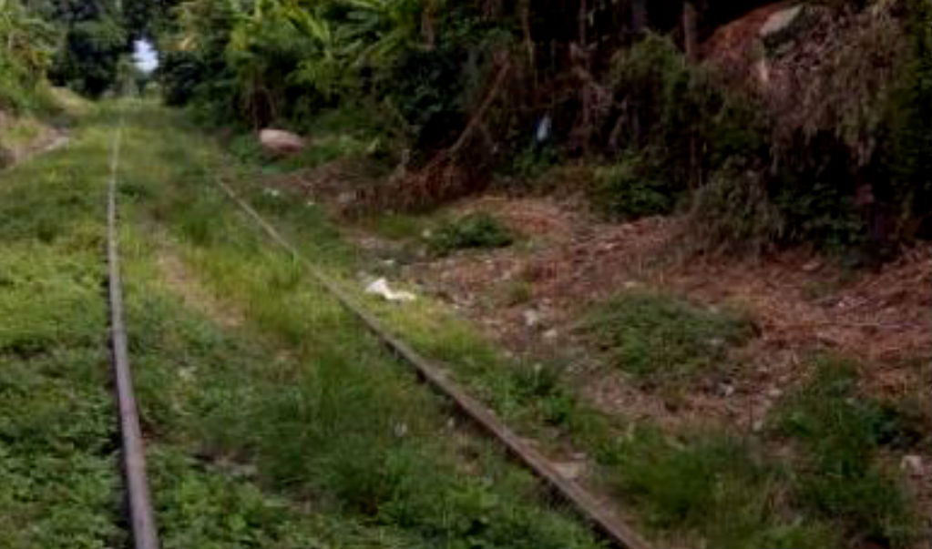 Tren del Istmo listo en 2021; cumplirán promesas para evitar bloqueos, aseguran