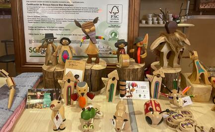 ¿Cómo se llama el Pueblo Mágico de Oaxaca donde se elaboran juguetes de madera?