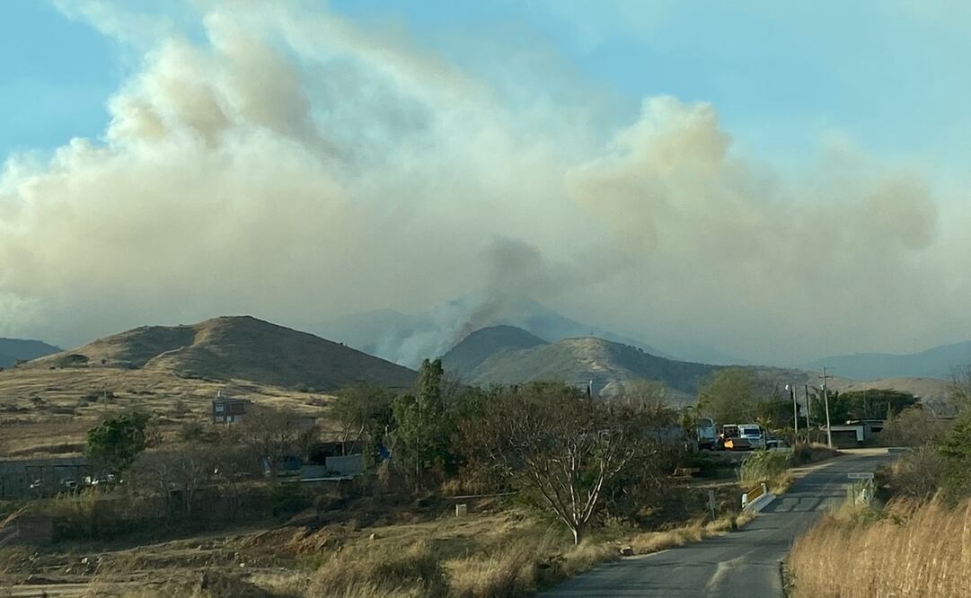 El incendio se registró desde el jueves en Santa Ana Tlapacoyan, en los Valles Centrales de Oaxaca. Foto: Especial