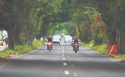 Ambientalistas llegan a acuerdo con el gobierno de Oaxaca para que avance obra de Símbolos Patrios