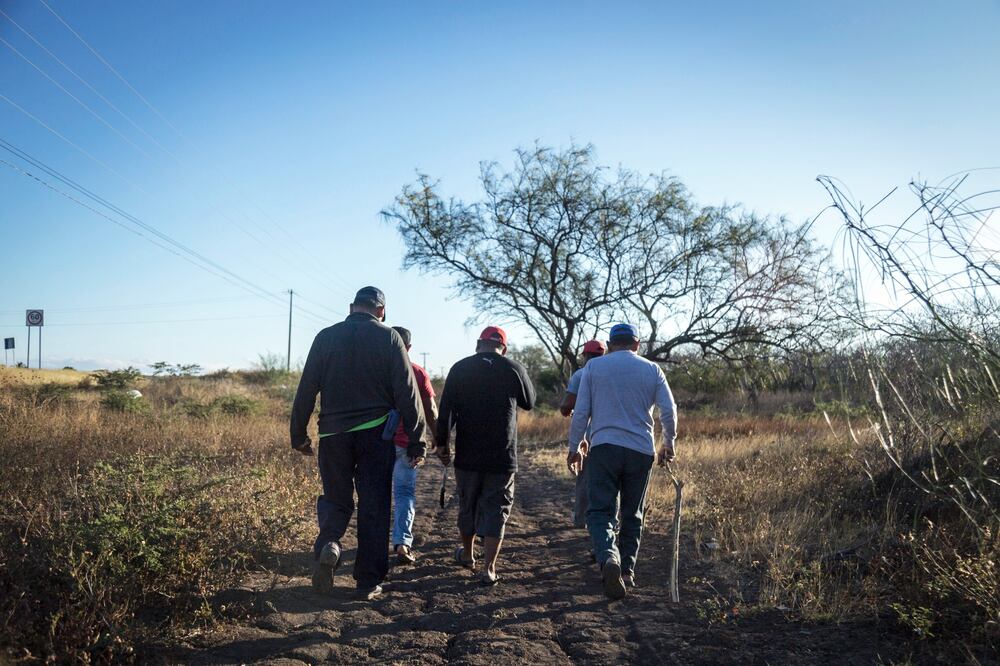 Alertan por 17 órdenes de aprehensión contra opositores indígenas a parque industrial del CIIT