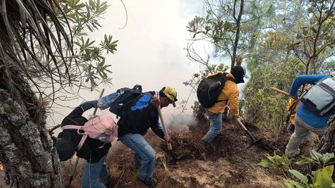 Autoridades agrarias de Juxtlahuaca, Oaxaca, monitorean el incendio forestal activo