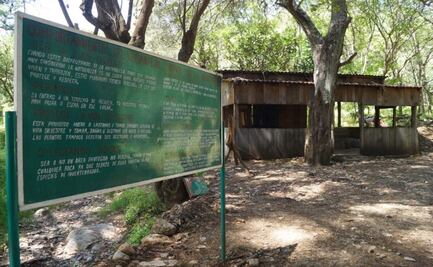 Peligran centros ecoturísticos en Oaxaca por Covid-19; crisis derivó en despidos y falta de utilidades