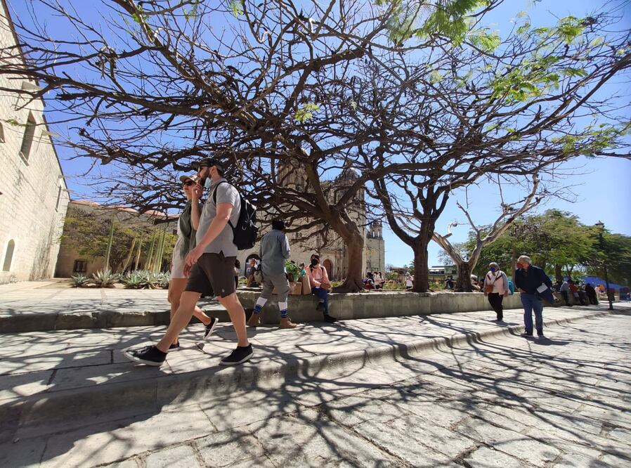 Foto: Mario Arturo Martínez.