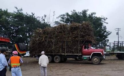 Dejará corte de caña derrama de 280 mdp en la Cuenca; prevén repunte del sector en Oaxaca