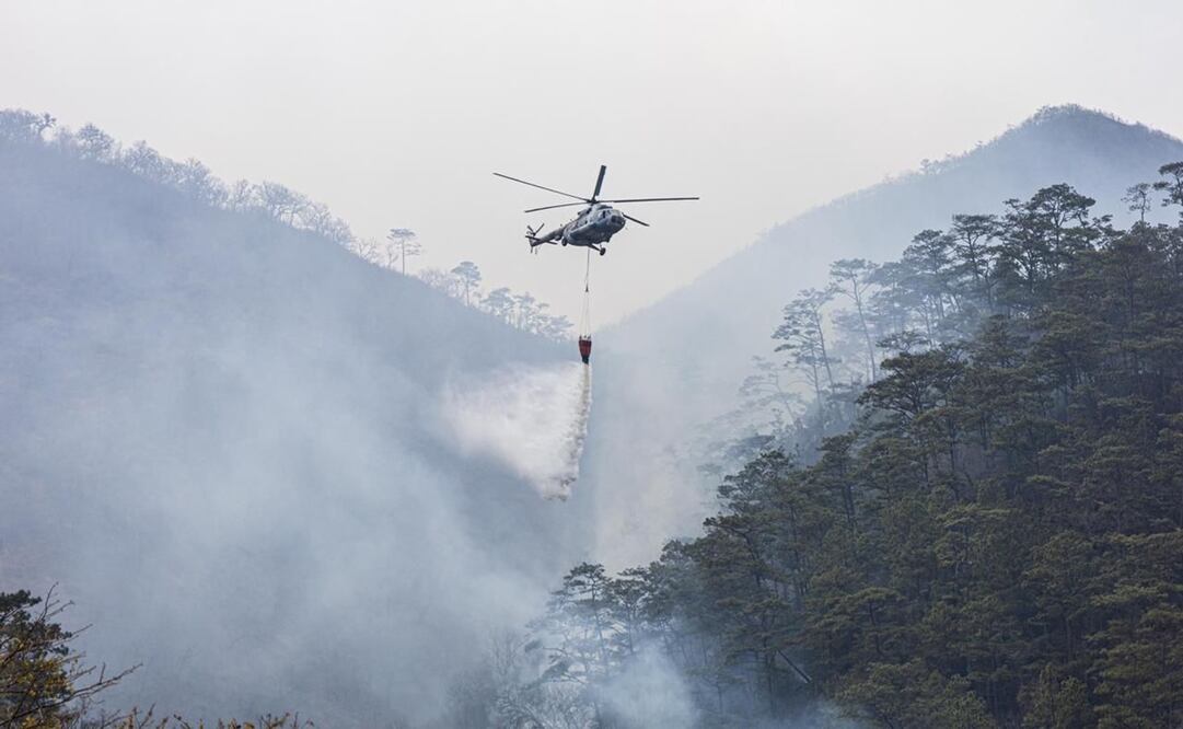Reportan controlado al 65% incendio en Los Chimalapas, Oaxaca; persisten acciones de combate por aire. Foto: Especiales
