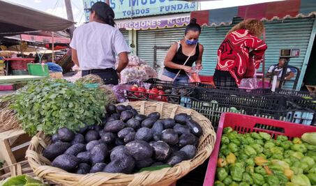 En crisis por coronavirus, “el campo no puede parar, es nuestra esperanza”: Flor y Canto