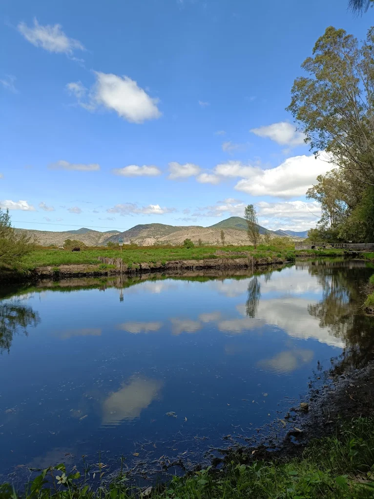 Ojo de Agua en Oaxaca. Foto: Moisés Hernández
