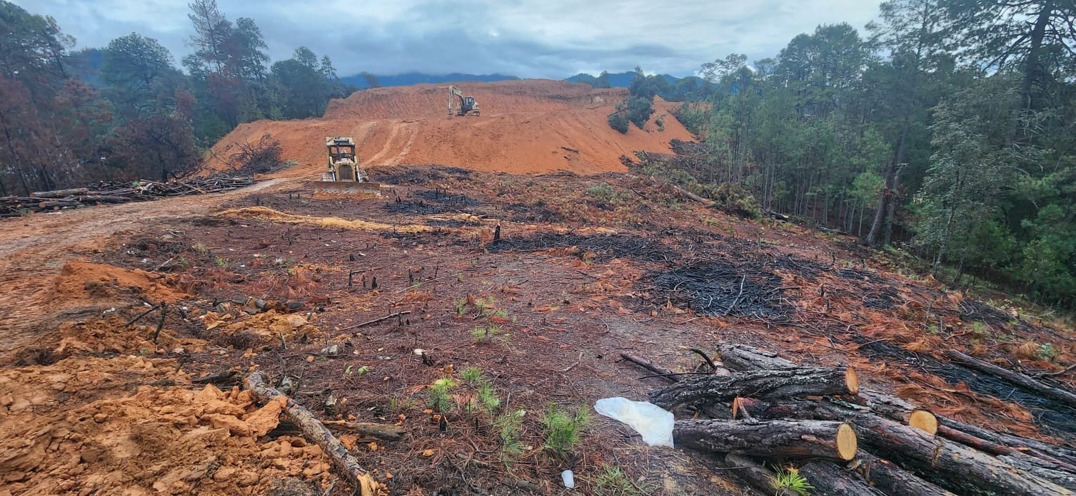 Denuncian desmonte y tala de árboles en Guerrero Grande, Atatlahuca; prevén violencia nuevamente en la zona