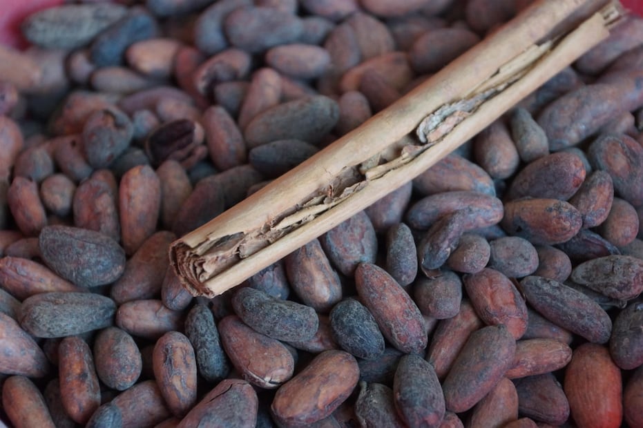 Foto: Edwin Hernández EL UNIVERSAL