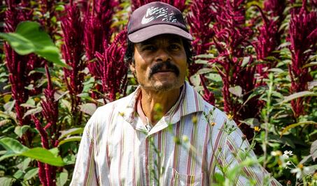 Covid-19 no frena al campo: productores crean una red de distribución para afrontar crisis