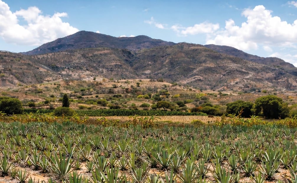 San Dionisio Ocotepec, Oaxaca. Foto: FB@Secretaría de Turismo del Estado de Oaxaca