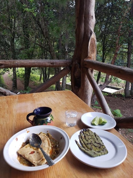 En el Santuario de las Aves podrás disfrutar de comida tradicional de la cocina oaxaqueña. Foto: FB@JuvenTours Oaxaca