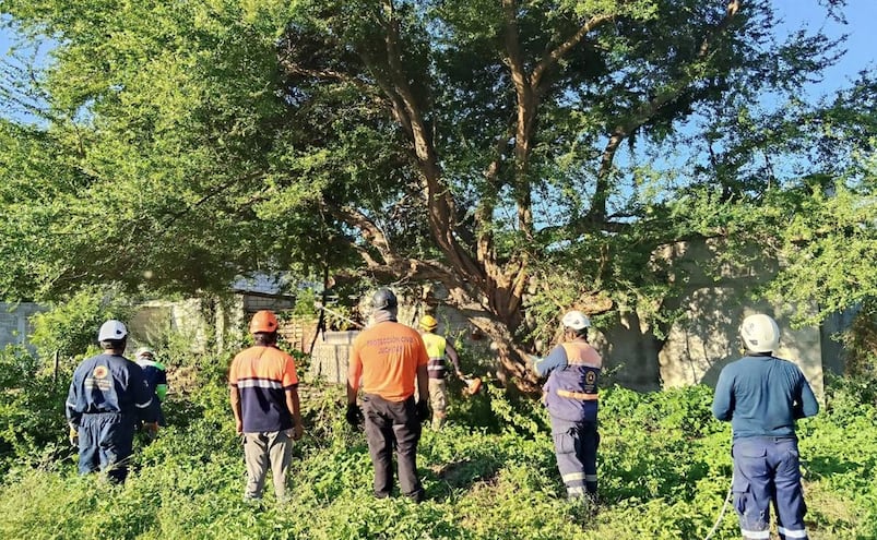 Advierten fuertes vientos y bajas temperaturas por el frente frío número 19 en el Istmo de Oaxaca