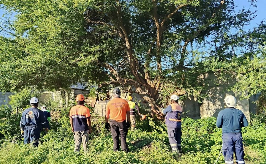 Advierten fuertes vientos y bajas temperaturas por el frente frío número 19 en el Istmo de Oaxaca