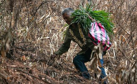 Pedimento a la lluvia: Tradición ancestral de los pueblos originarios de Yosoyuxi Copala, Oaxaca 