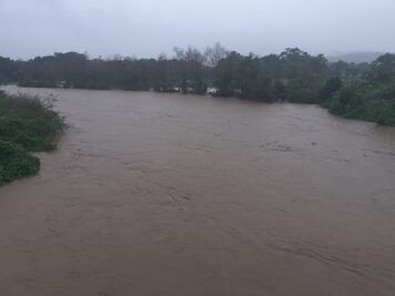Reporta Sedapa 70 mil hectáreas dañadas por lluvias y sequía