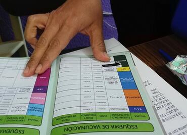 Oaxaca, sin muertes por coronavirus pero con 97 casos y 8 defunciones por influenza