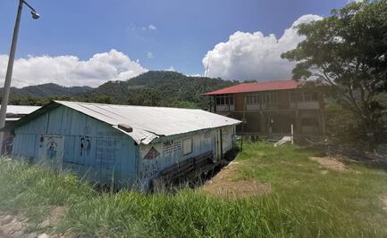 Denuncian “guardianes de la selva” una nueva destrucción en Los Chimalapas