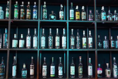 Inauguran "Vive Mezcal 2019"