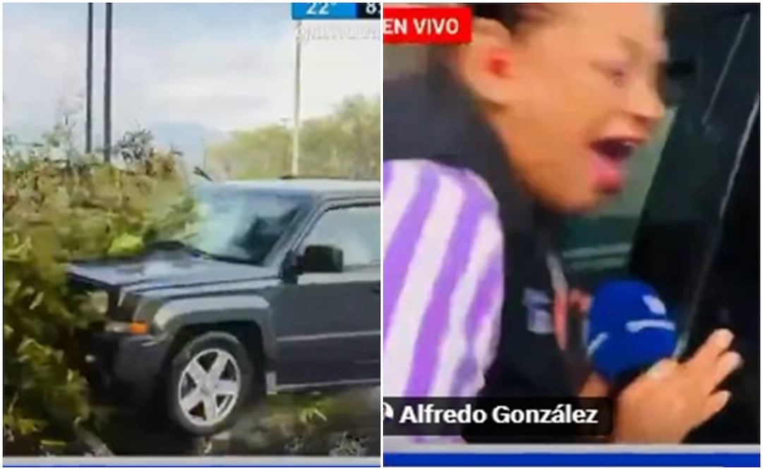 Reportera y camarógrafo fueron atropellados durante transmisión en vivo. Fotos: Capturas de video
