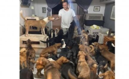 Hombre resguarda a 300 perros callejeros en su casa por huracán "Delta"