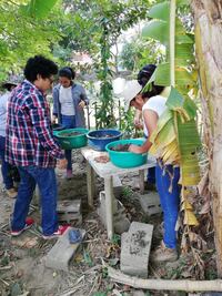 Activistas recolectan semillas para reforestar Tuxtepec