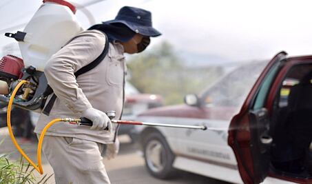 Recomiendan a Semovi y a municipios transparentar medidas para encarar la pandemia