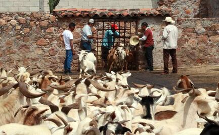 Pervive en Huajuapan polémica y centenaria matanza para el tradicional mole de caderas