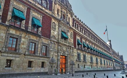 Van por ratas y piojos: Presidencia lanza licitación para acabar con fauna nociva en Palacio Nacional