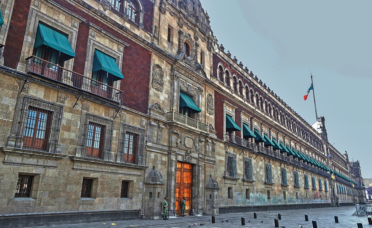 Van por ratas y piojos: Presidencia lanza licitación para acabar con fauna nociva en Palacio Nacional