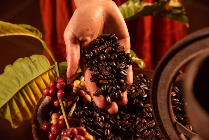 Foto: Visit México.