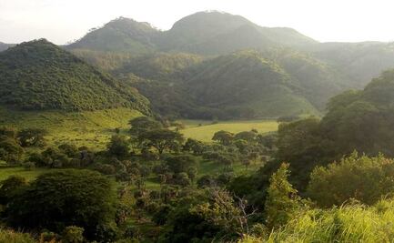 Solicitan nulidad de otros dos ejidos chiapanecos en territorio oaxaqueño de Los Chimalapas; suman 4