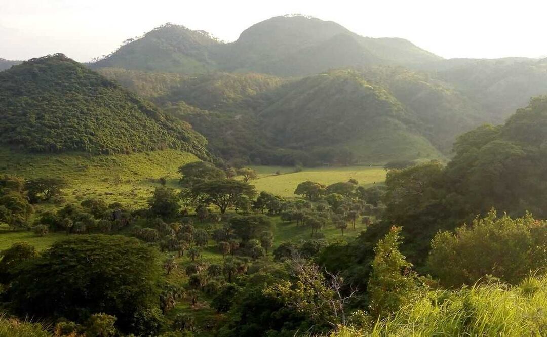 Solicitan nulidad de otros dos ejidos chiapanecos en territorio oaxaqueño de Los Chimalapas; suman 4. Foto: Especial