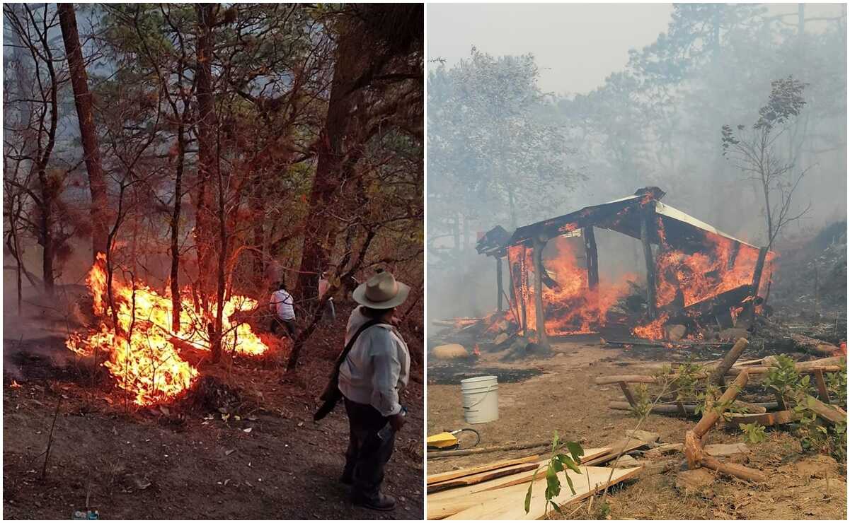 Tras 24 horas, contienen incendio forestal en Sierra Norte de Oaxaca; vigilan posible reactivación del fuego