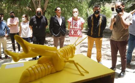 Celebra Hemeroteca de Oaxaca 50 años con exposición “Naturaleza Cinética”, del artista Rolando Calderón