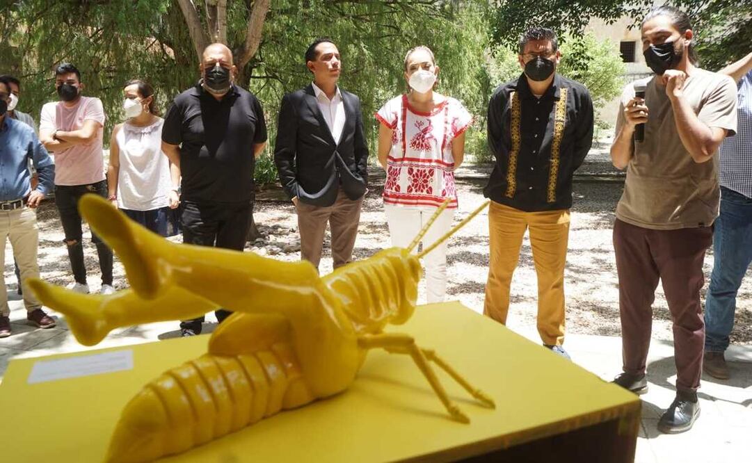 Celebra Hemeroteca de Oaxaca 50 años con exposición “Naturaleza Cinética”, del artista Rolando Calderón. Foto: Christian Jiménez