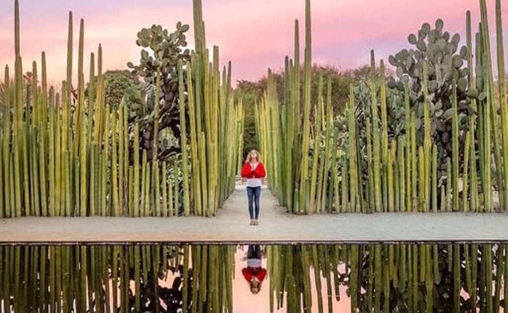 Jardin Etnobotanico de Santo Domingo. Foto: FB@Oaxaqueando