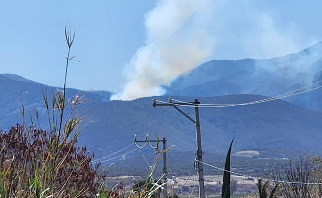 Se reactiva incendio en San Lucas Quiaviní, Oaxaca; Coesfo atiende siniestro. Foto: Especial