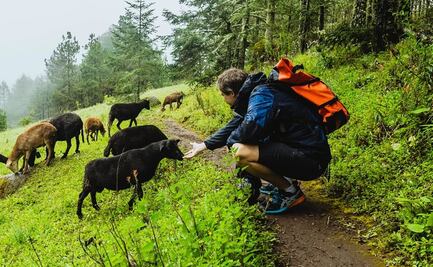 ¿Cuáles son los Pueblos Mancomunados de Oaxaca y por qué se llaman así? 