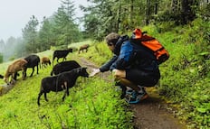 ¿Cuáles son los Pueblos Mancomunados de Oaxaca y por qué se llaman así?