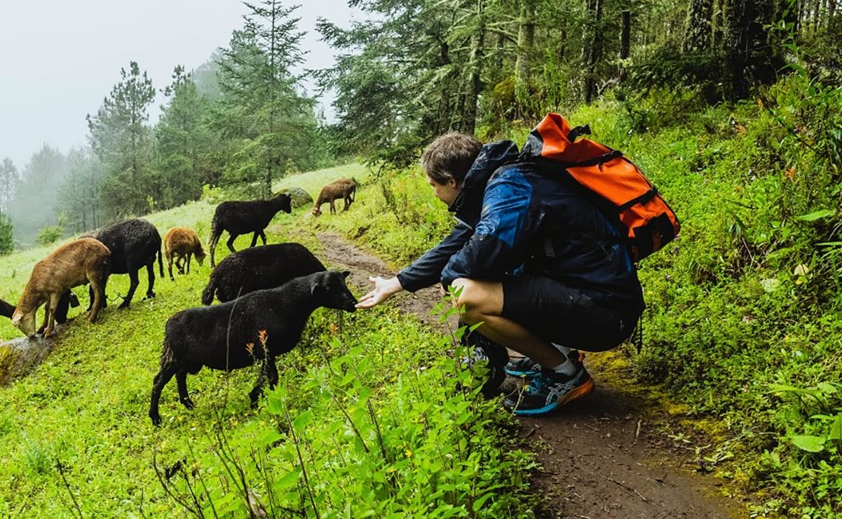 Oaxaca tiene muchos 8 pueblos mancomunados. Foto: Instagram @expediciones_sierra_norte