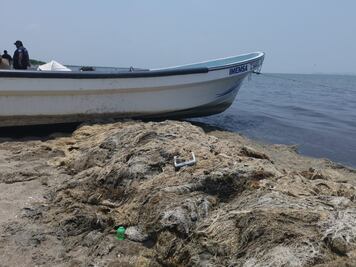 Falta de diésel retrasa inicio de temporada de pesca de camarón