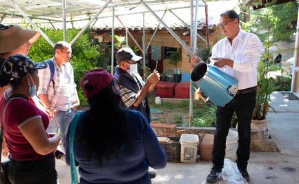 Con proyectos sustentables, el Centro de Apoyo al Movimiento Popular busca superar represión en Oaxaca