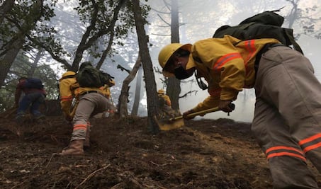 Se mantienen activos tres incendios forestales en Oaxaca, fallecidos por el fuego suben a 6 en la Mixteca