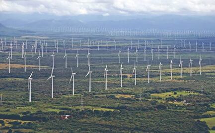 Piden suspender consulta indígena sobre parque eólico ante aumento de Covid-19 en Oaxaca