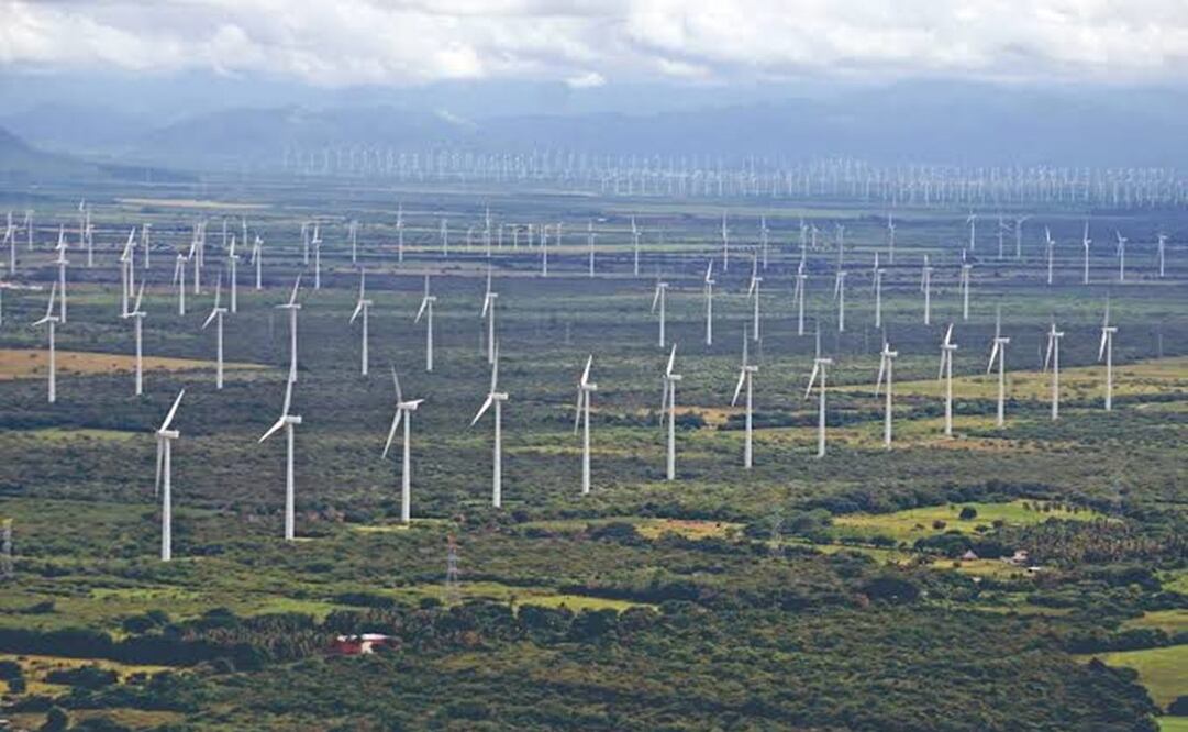 Foto: Archivo EL UNIVERSAL