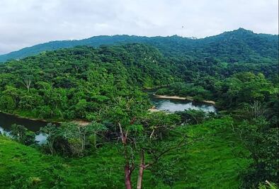 Ante insistencia de AMLO, chimalapas rechazan convertir territorio de Oaxaca en reserva federal